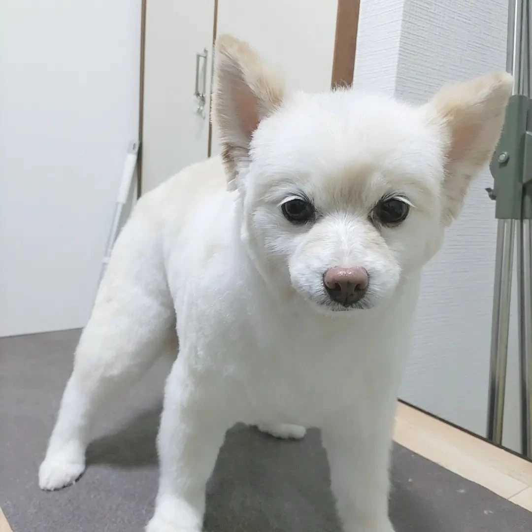 画像288
