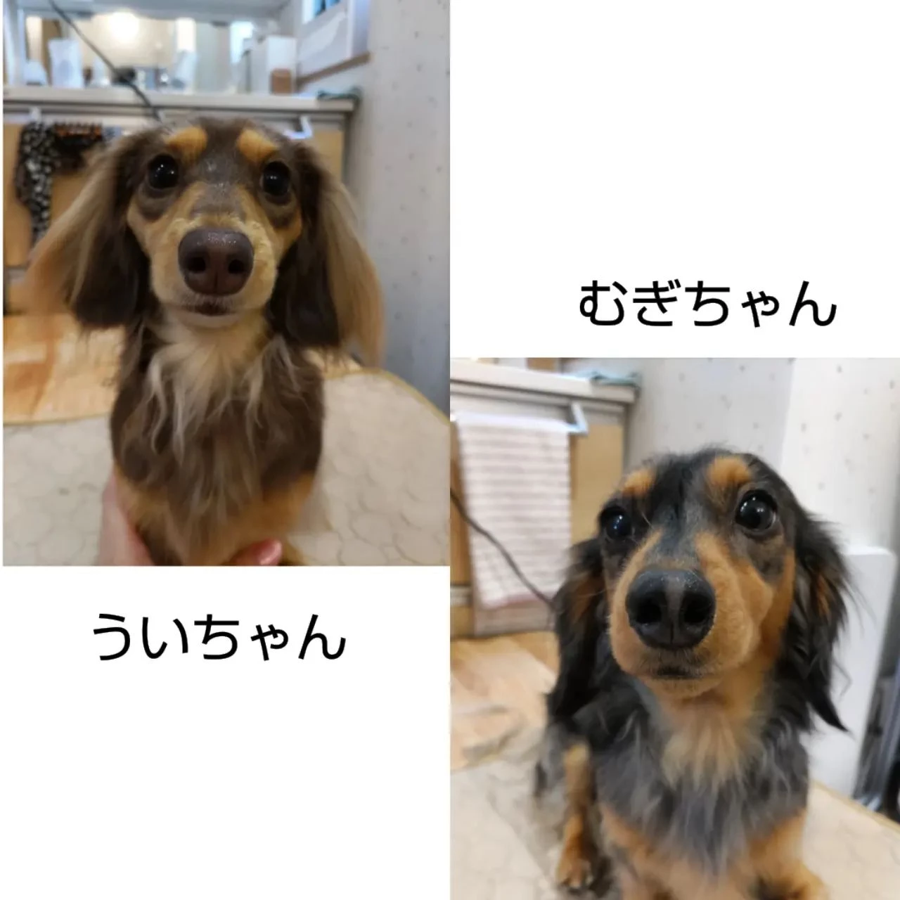 画像300