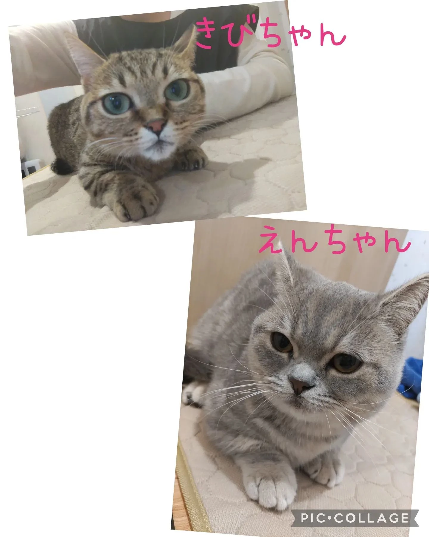 画像302