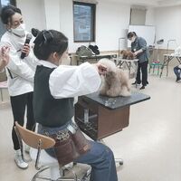 画像308