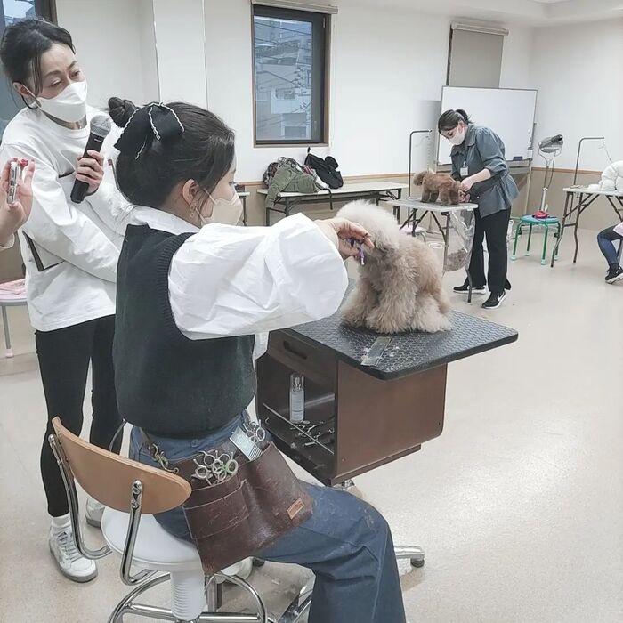 画像308