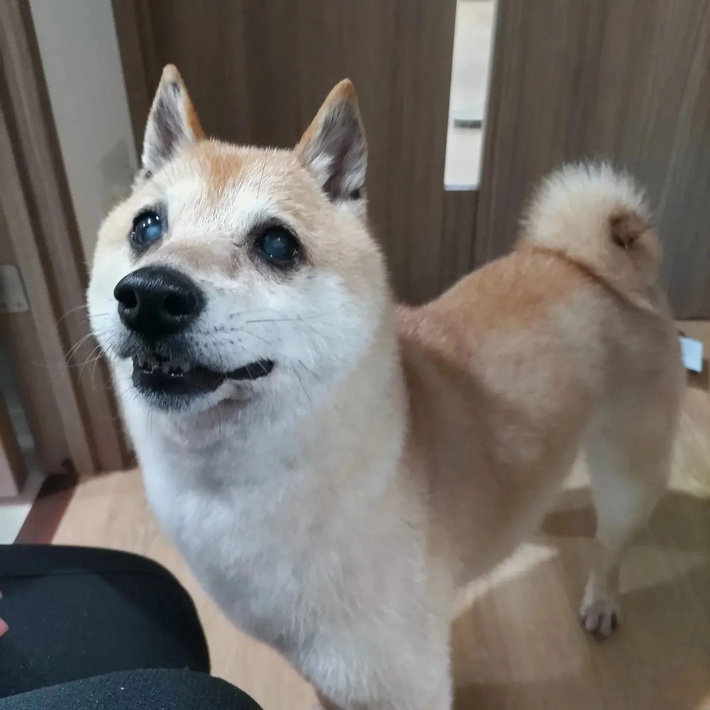 画像421