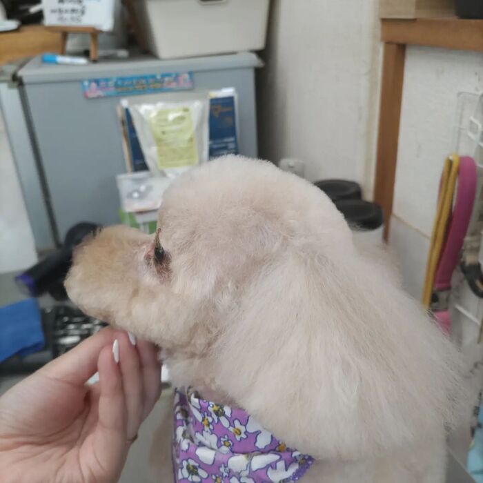 画像447