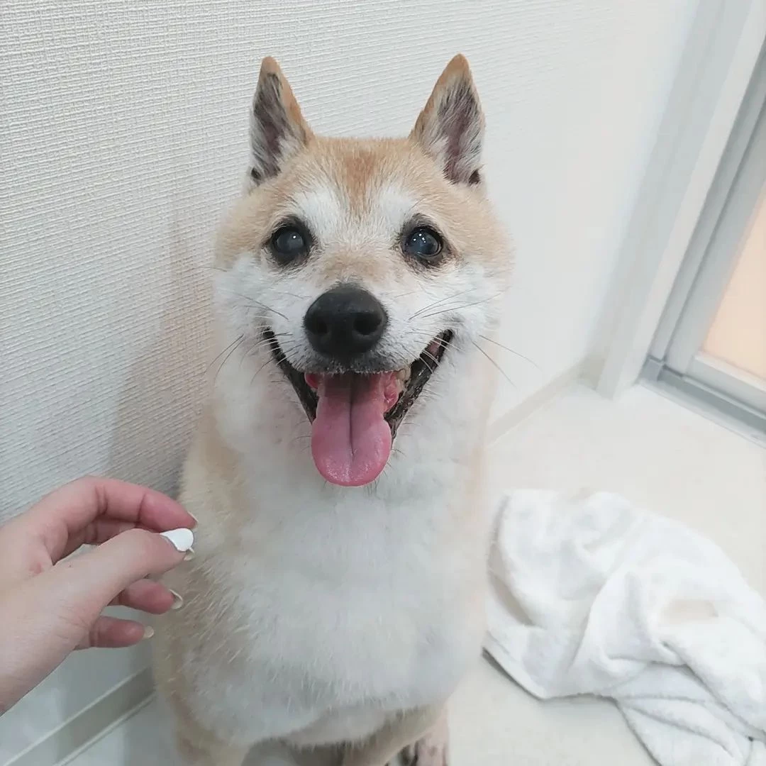 画像459