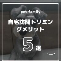 画像495