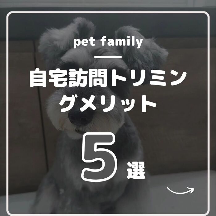 画像495
