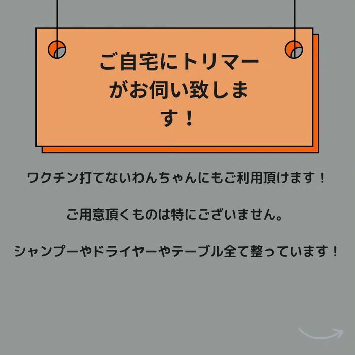 画像496