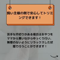 画像497