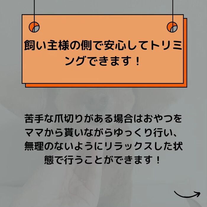 画像497