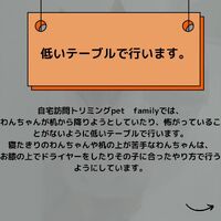 画像498