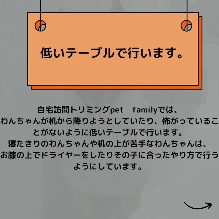 画像498