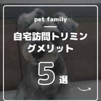 画像502