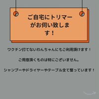 画像503