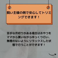 画像504