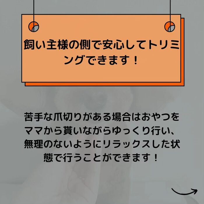 画像504