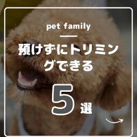画像510