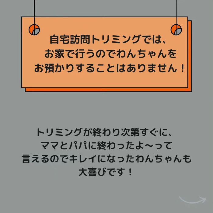 画像511
