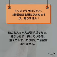 画像512