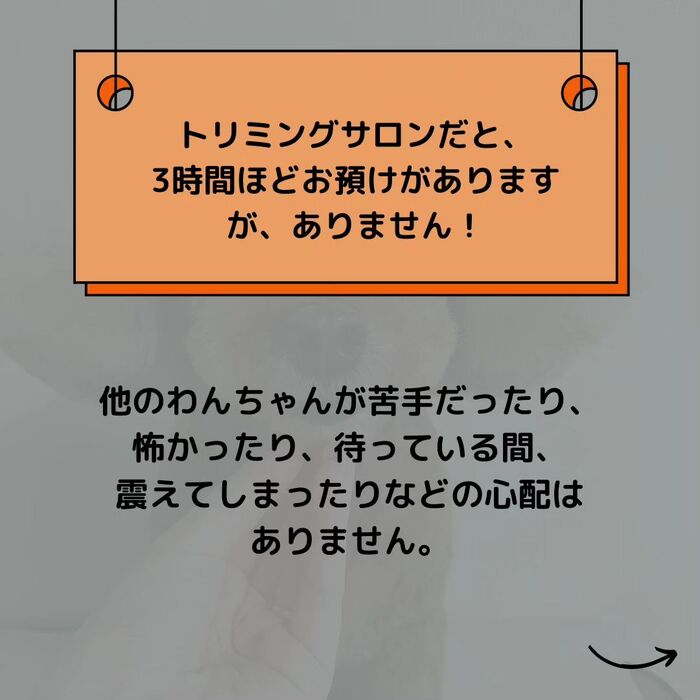 画像512