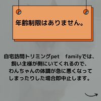 画像513