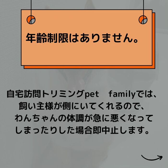画像513