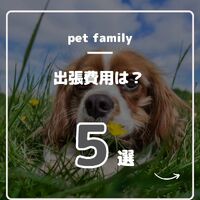 画像530