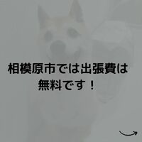画像533