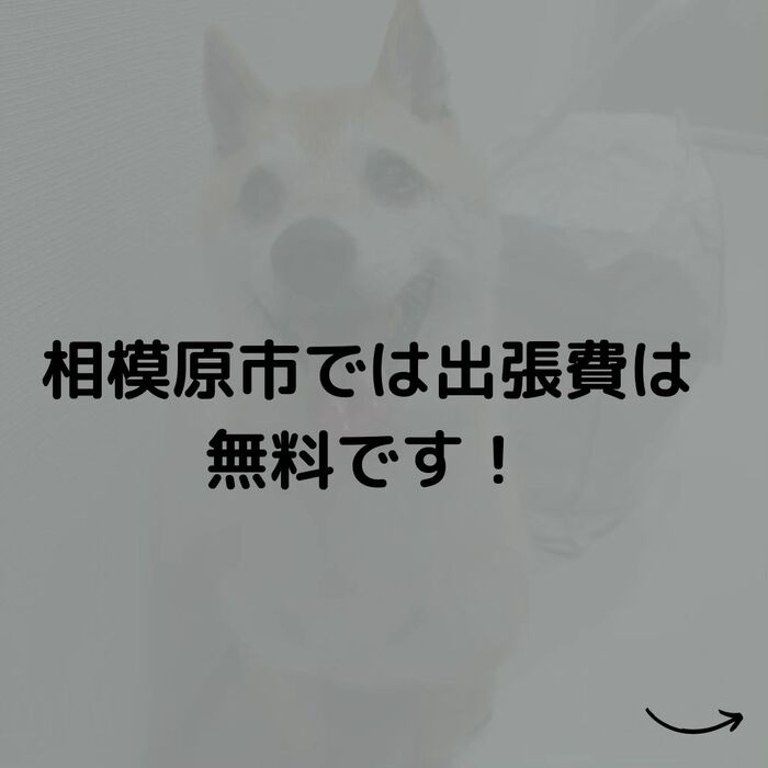 画像533