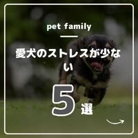 画像537