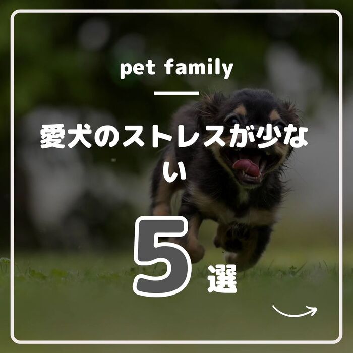 画像537