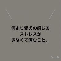 画像538