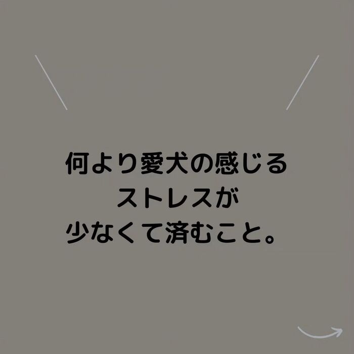 画像538