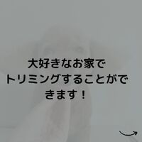 画像539