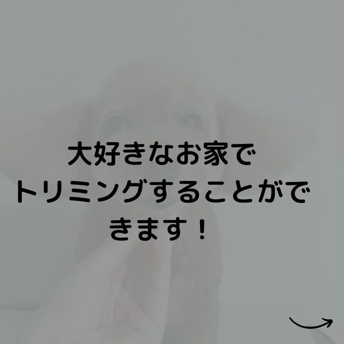 画像539