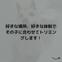 画像540