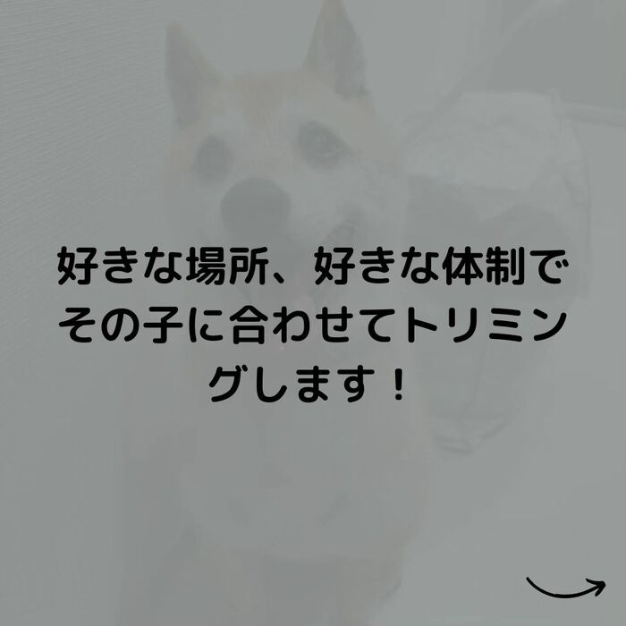 画像540