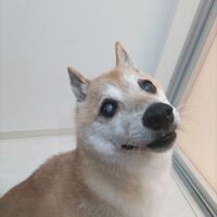 画像546