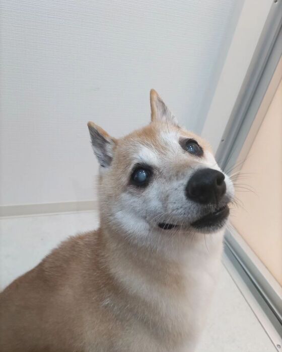 画像546