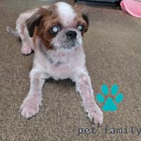 画像564