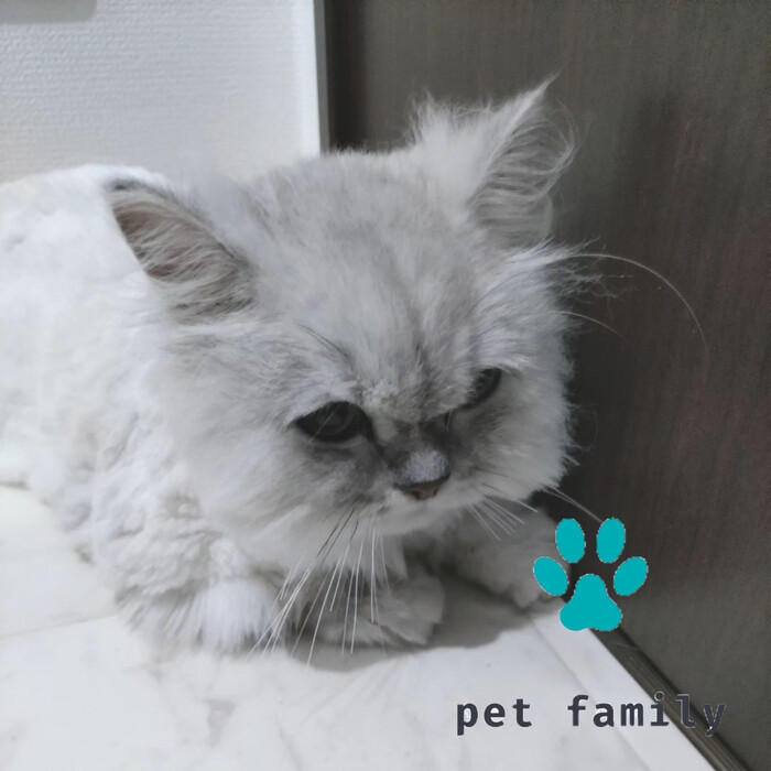 画像570