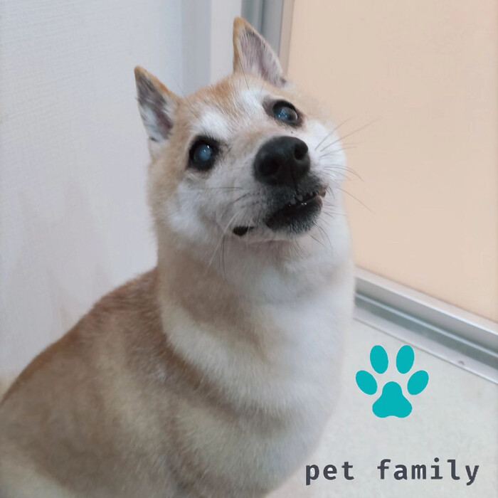 画像576