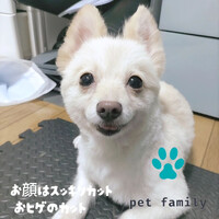 画像617
