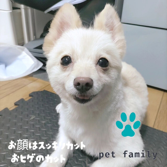 画像617