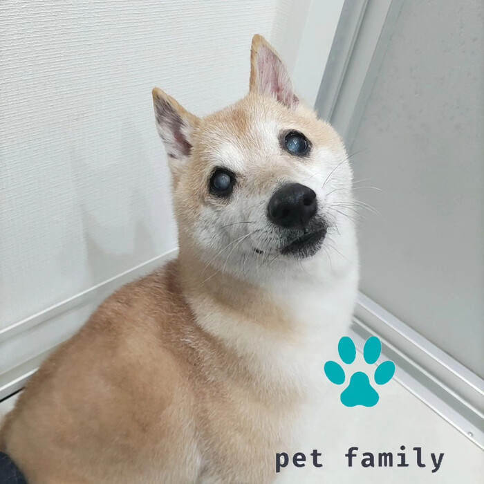 画像629
