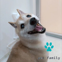 画像643