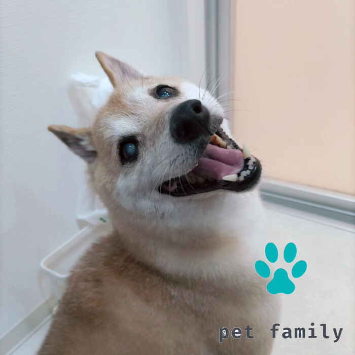 画像643